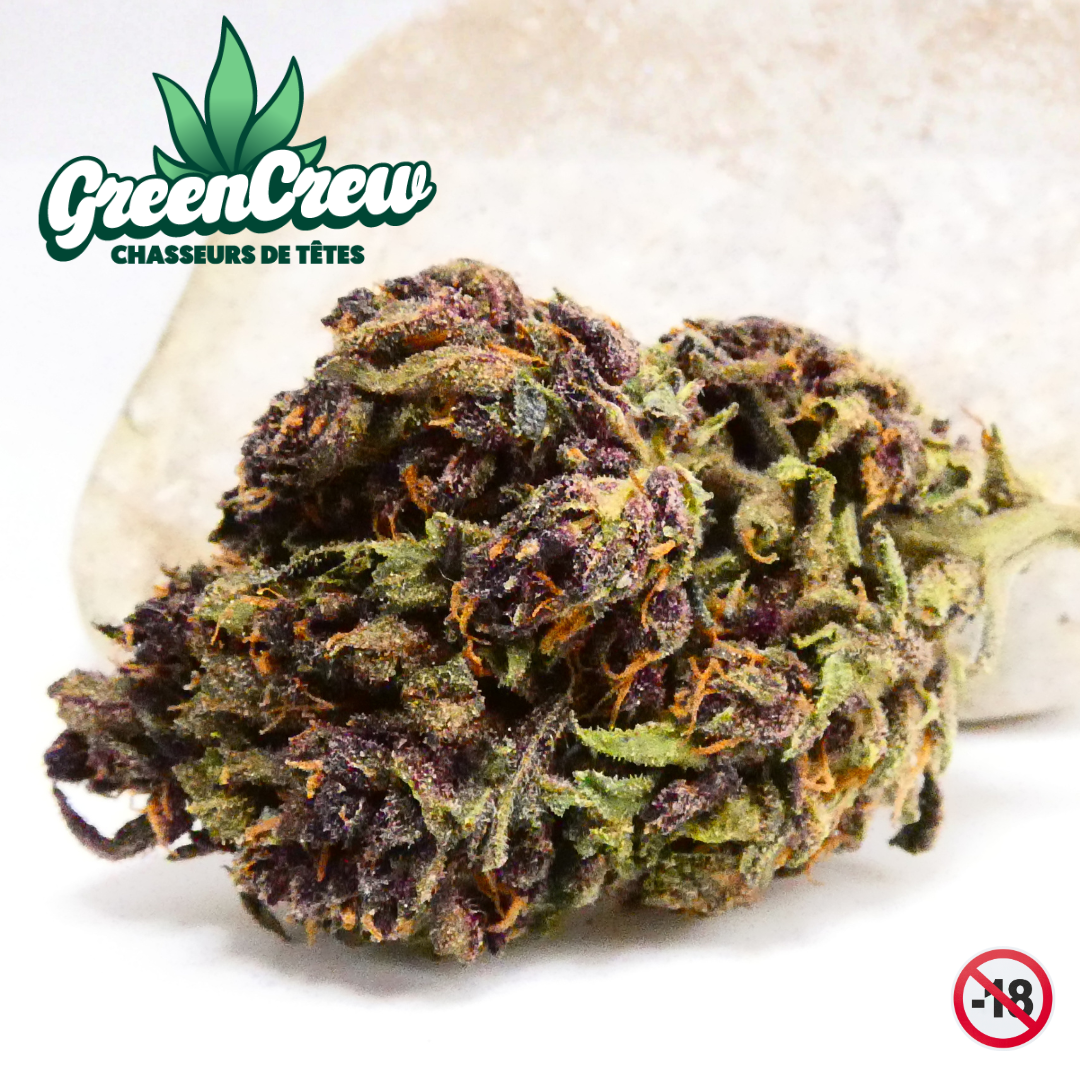 sapphire-kush-smellz Sapphire Kush dans toute sa noblesse