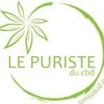 Le puriste du cbd